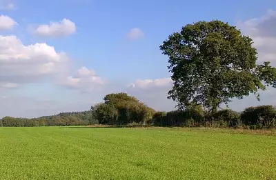 Maison neuve, 105 m²