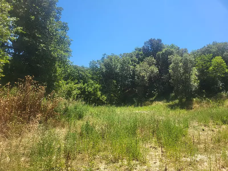 Maison neuve, 160 m² - Dions (30190)