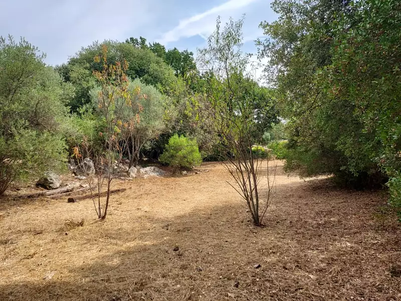 Maison neuve, 110 m² - Camps-la-Source (83170)