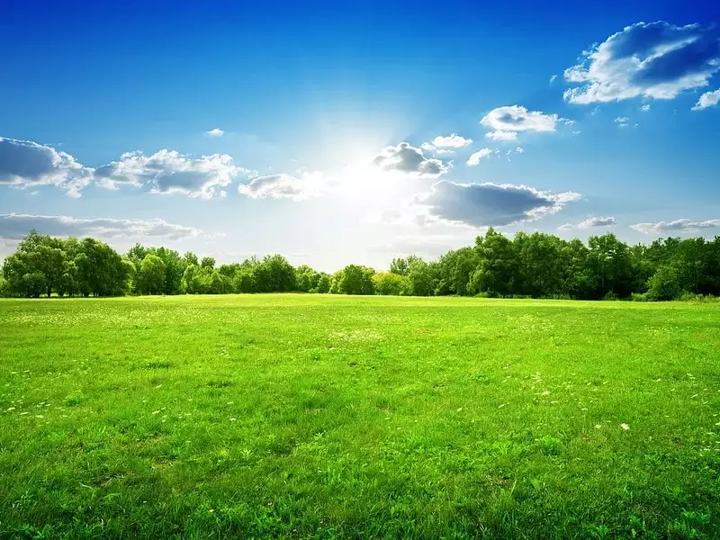 Terrain à bâtir, 2 031 m² - Mareil-sur-Loir (72200)