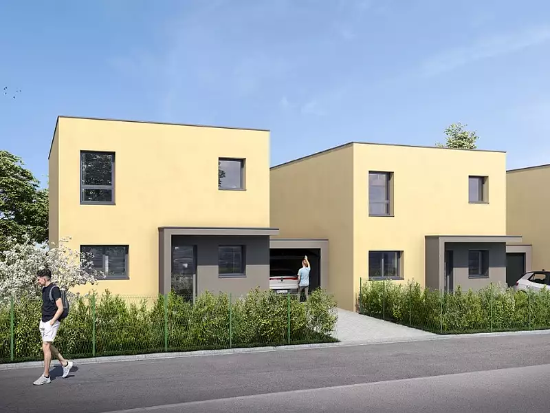 Le Hamo du Lion - Belfort (90000)