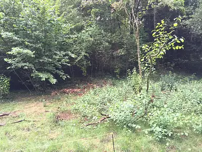 Maison neuve, 150 m²