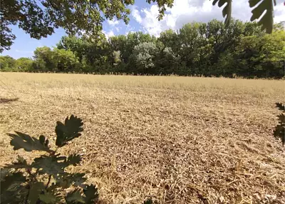 Terrain à bâtir, 350 m²