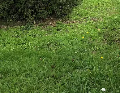 Terrain à bâtir, 715 m²