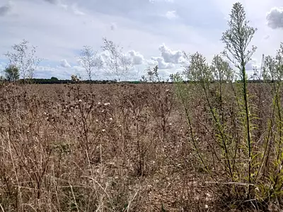 Terrain à bâtir, 385 m²