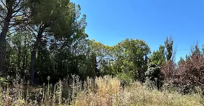 Terrain à bâtir, 789 m²