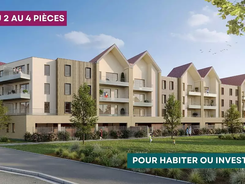 Skala - Gravelines (59820)