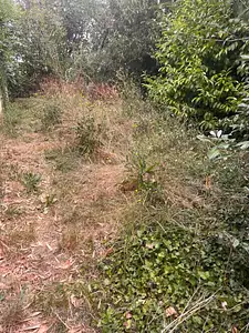 Terrain à bâtir, 400 m²