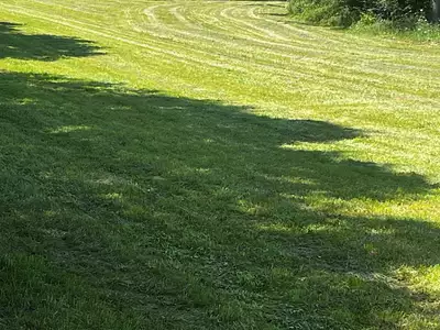 Maison neuve, 60 m²