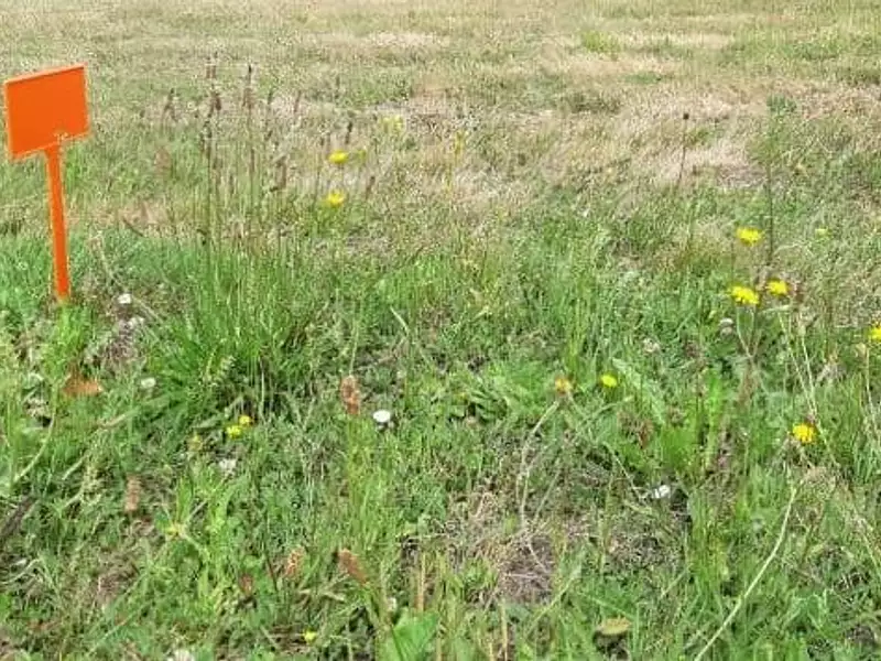 Terrain à bâtir, 502 m² - Préfailles (44770)