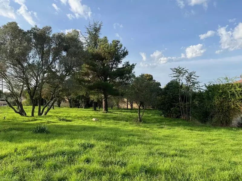 Maison neuve, 50 m² - Bollène (84500)