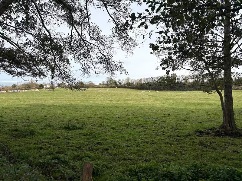 Terrain à bâtir, 470 m² - Villers-sur-Mer (14640)