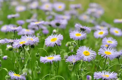 Maison neuve, 80 m²