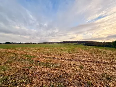 Maison neuve, 84 m²