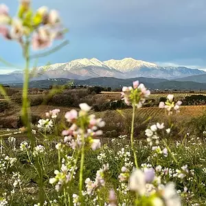 Maison neuve, 150 m²