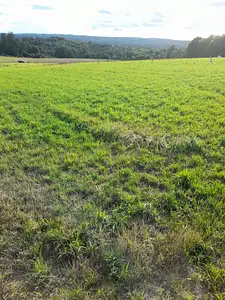 Maison neuve, 107 m²