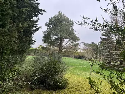 Terrain à bâtir, 783 m²