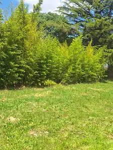 Terrain à bâtir, 500 m²