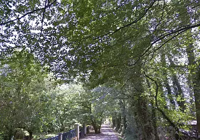 Terrain à bâtir, 1 223 m²