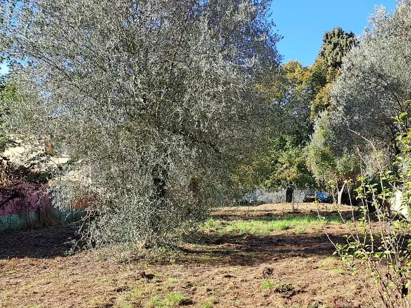 Maison neuve, 105 m² - La Trinité (06340)