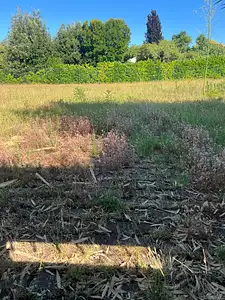 Maison neuve, 125 m²