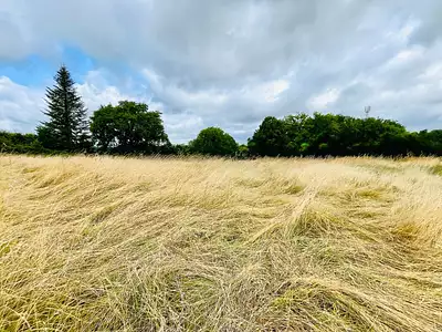 Terrain à bâtir, 1 000 m²