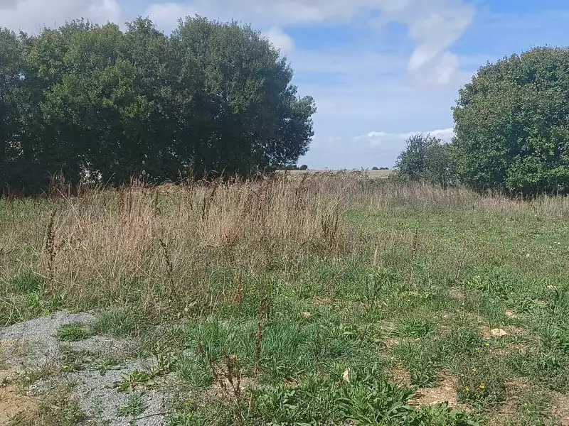 Terrain à bâtir, 422 m² - Sainte-Soulle (17220)