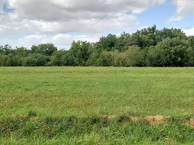 Terrain à bâtir, 374 m²