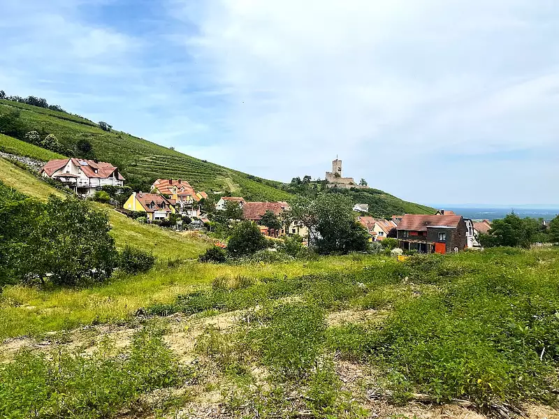 Le Hamo du Wineck - Katzenthal (68230)