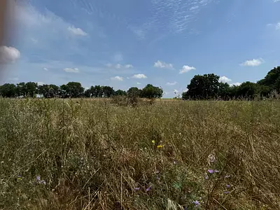 Maison neuve, 78 m²