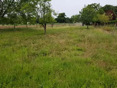 Maison neuve, 90 m²