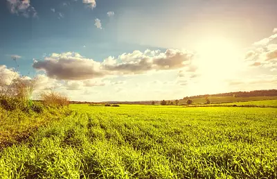 Maison neuve, 80 m²