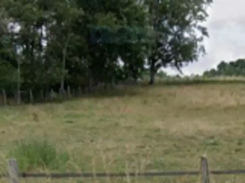 Terrain à bâtir, 1 333 m² - Charbuy (89113)