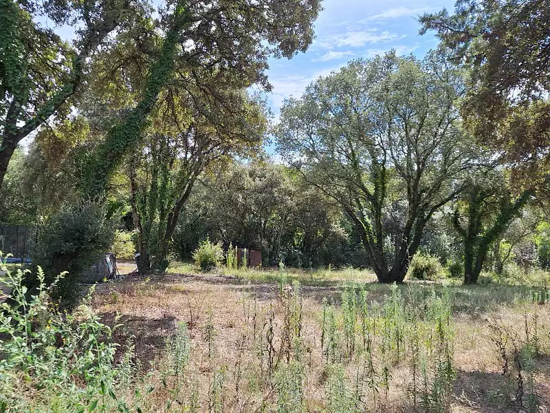 Maison neuve, 71 m² - Villevieille (30250)
