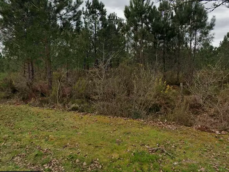 Terrain à bâtir, 600 m² - Podensac (33720)