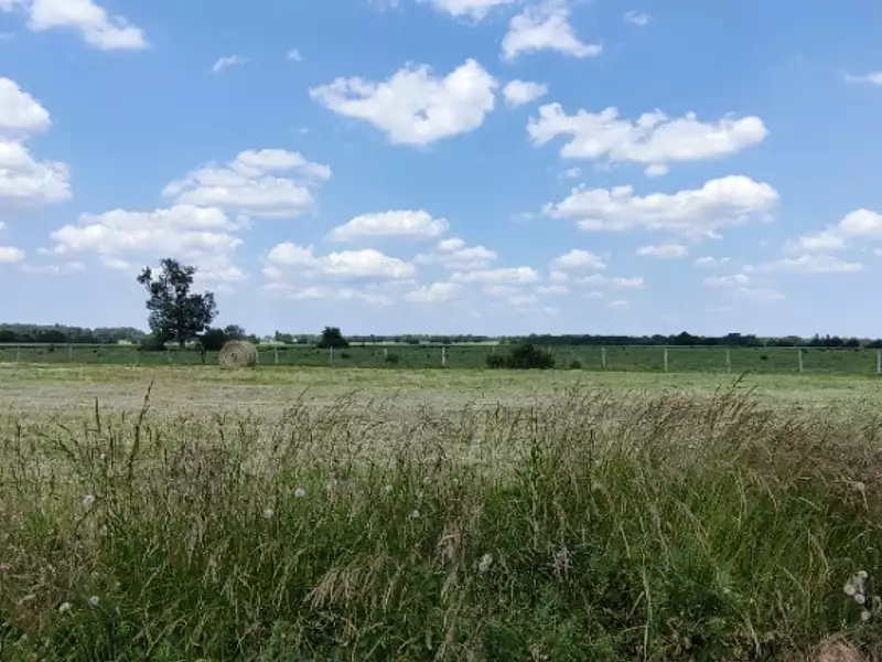 Terrain à bâtir, 441 m² - Baugé-en-Anjou (49150)