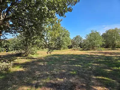 Terrain à bâtir, 503 m²