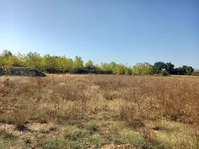 Terrain à bâtir, 911 m²