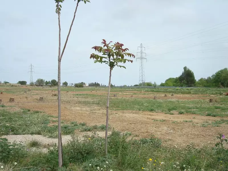Terrain à bâtir, 84 900 m² - Perpignan (66100)