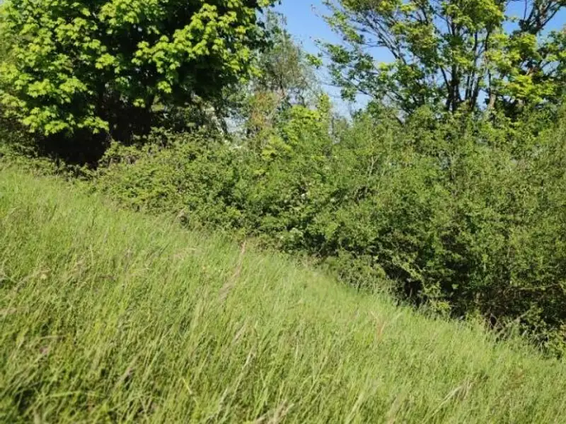 Terrain à bâtir, 1 200 m² - Grièges (01290)