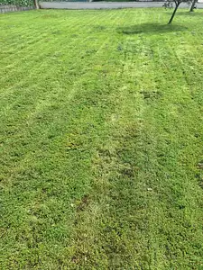 Maison neuve, 50 m²