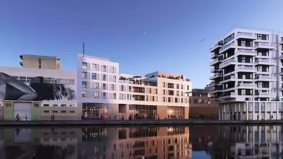 Nymphea