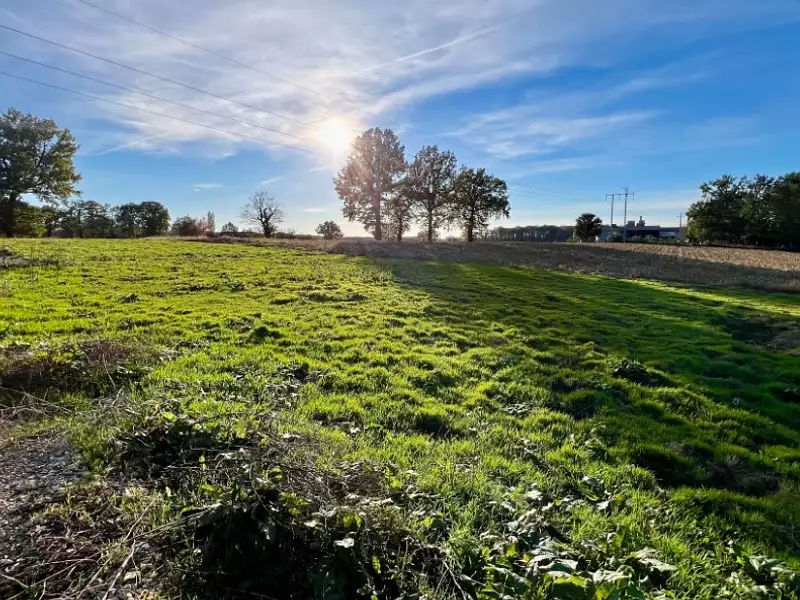 Maison neuve, 50 m² - Jasseron (01250)
