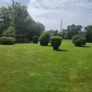 Maison neuve, 80 m²