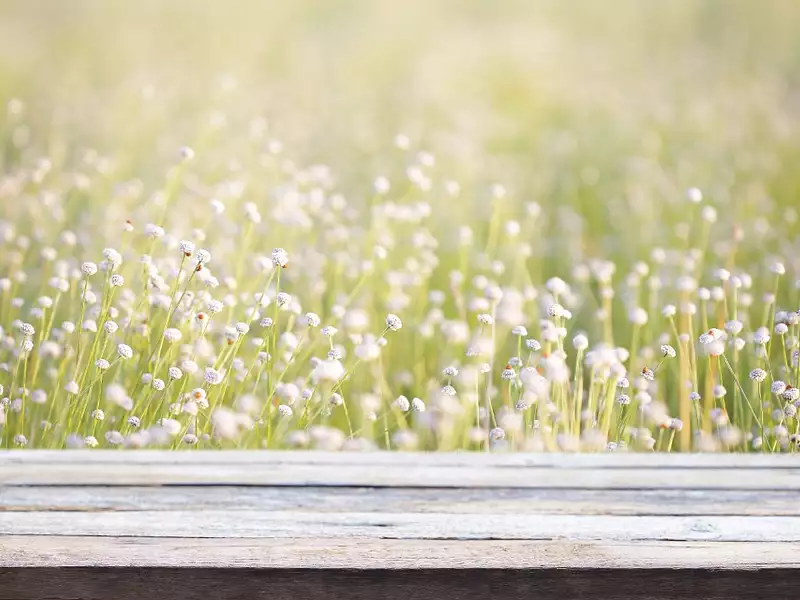 Terrain à bâtir, 655 m² - Le Teich (33470)