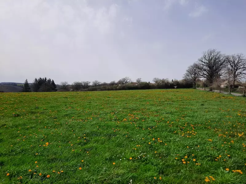Terrain à bâtir, 1 500 m² - Roannes-Saint-Mary (15220)