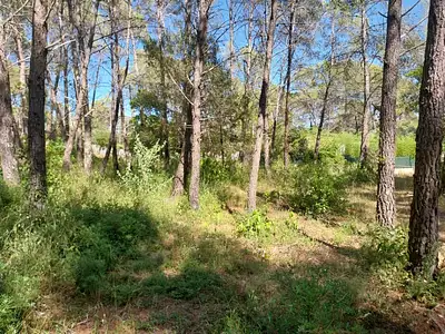 Maison neuve, 77 m²