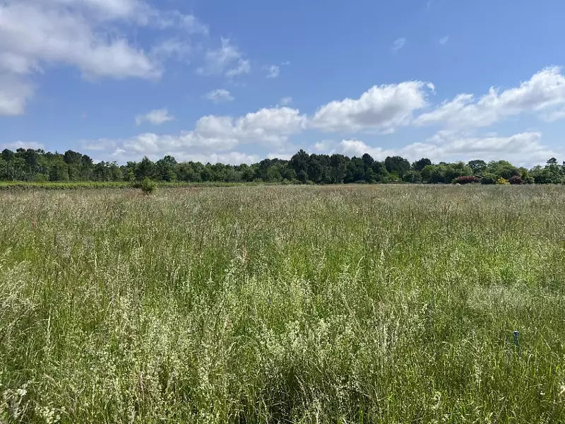 Terrain à bâtir, 1 605 m² - Bazas (33430)