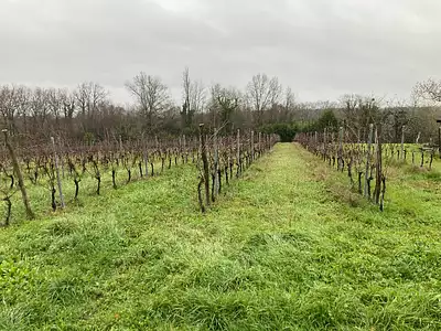 Terrain à bâtir, 1 900 m²