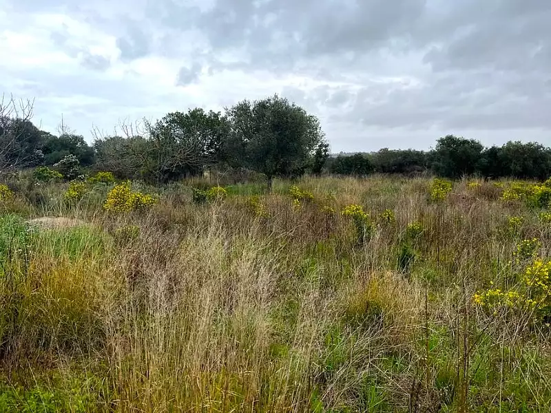Maison neuve, 120 m² - Mèze (34140)